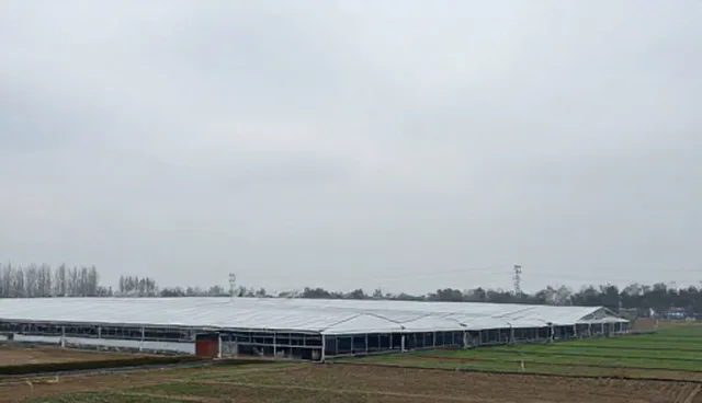 线路策划在客户需求中的实践应用与优化策略
