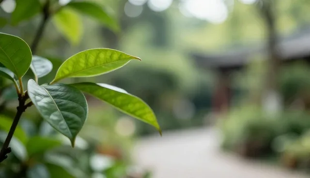 研学旅行线路设计中的核心关注点解析